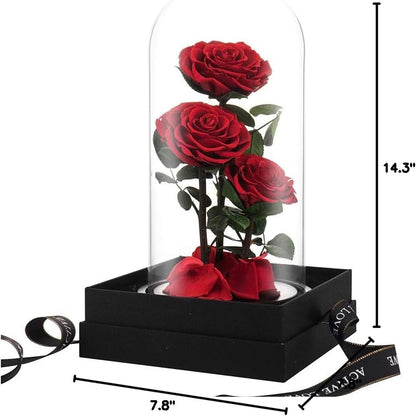 Preserved Real Rose Handmade Eternal Rose in Glass Doom Gift for Her Valentine'S Day Mother'S Day Anniversary Birthday (Large, 3 Red Roses)