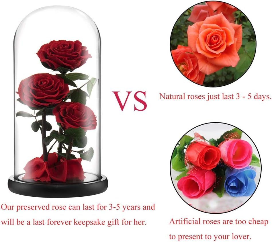 Preserved Real Rose Handmade Eternal Rose in Glass Doom Gift for Her Valentine'S Day Mother'S Day Anniversary Birthday (Large, 3 Red Roses)