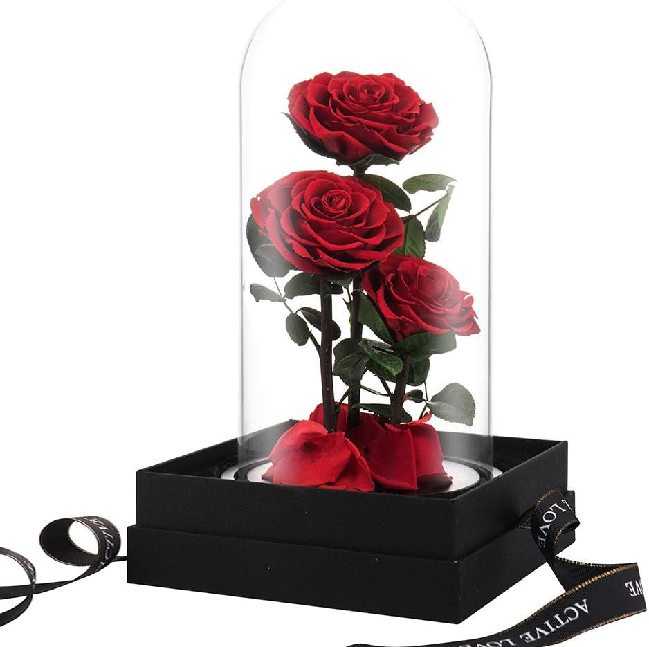 Preserved Real Rose Handmade Eternal Rose in Glass Doom Gift for Her Valentine'S Day Mother'S Day Anniversary Birthday (Large, 3 Red Roses)