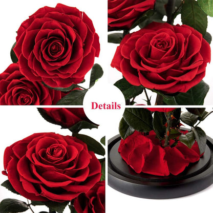 Preserved Real Rose Handmade Eternal Rose in Glass Doom Gift for Her Valentine'S Day Mother'S Day Anniversary Birthday (Large, 3 Red Roses)