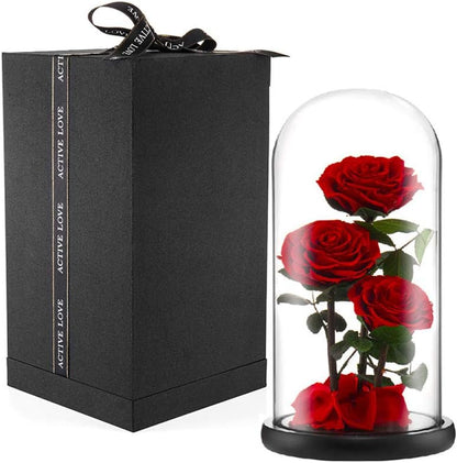 Preserved Real Rose Handmade Eternal Rose in Glass Doom Gift for Her Valentine'S Day Mother'S Day Anniversary Birthday (Large, 3 Red Roses)