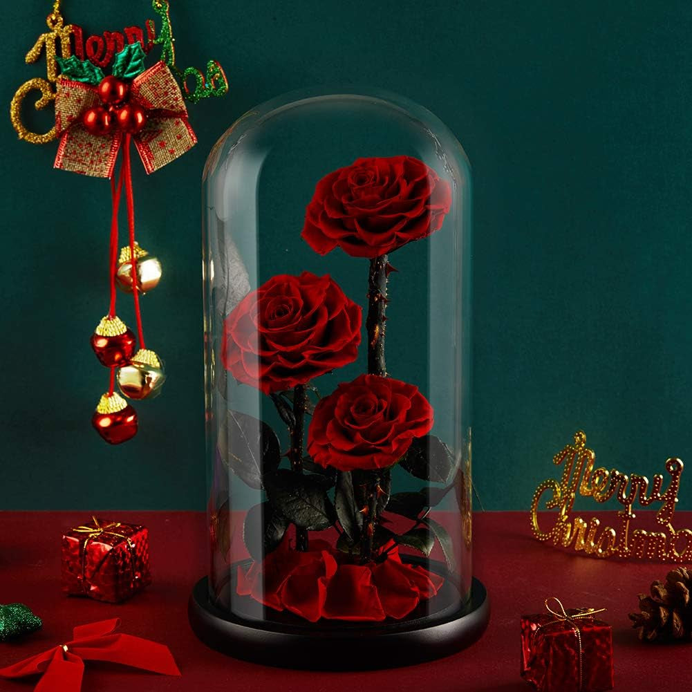 Preserved Real Rose Handmade Eternal Rose in Glass Doom Gift for Her Valentine'S Day Mother'S Day Anniversary Birthday (Large, 3 Red Roses)